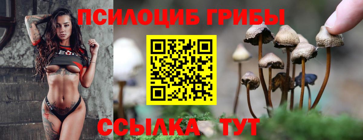 Гудермес  Псилоцибиновые грибы ЛСД  Вход с VPN  Псилоцибиновые грибы мицелий 