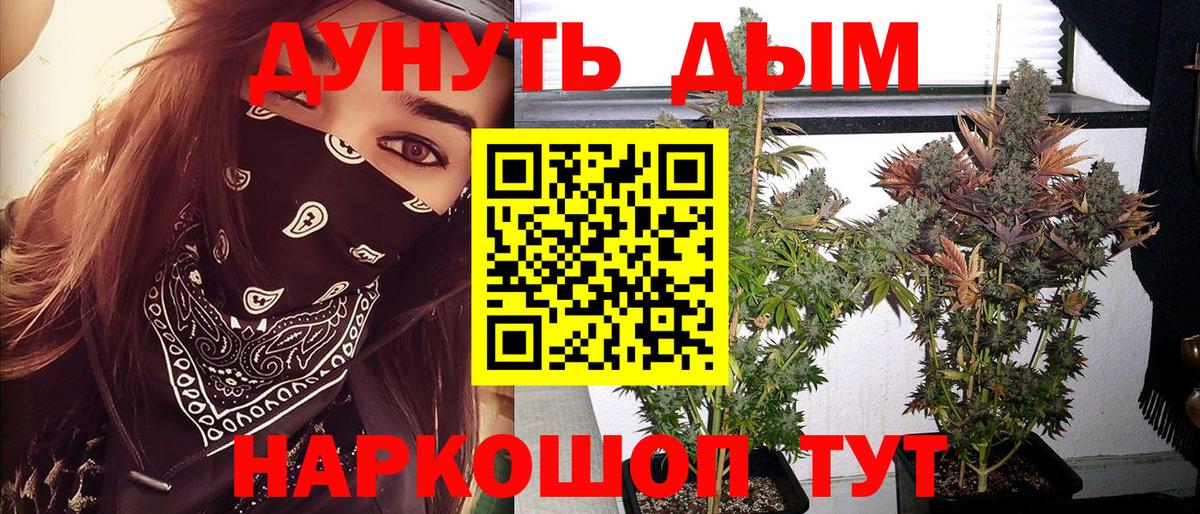 Бошки марихуана тримм  Канабис планчик  Шишки марихуана сатива  Вход с VPN  Гудермес 